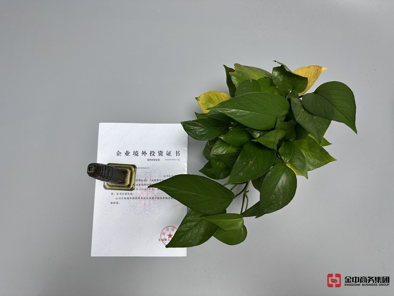 东南亚ODI备案 东南亚ODI备案