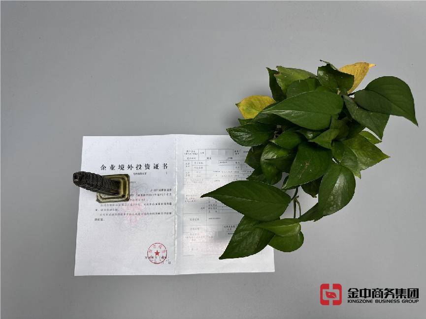 新加坡ODI备案登记 新加坡ODI备案登记